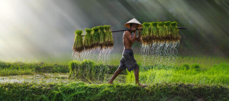 Man farming in Cambodia